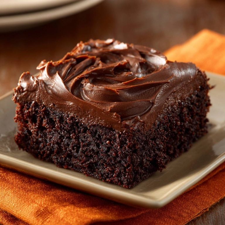 Fudgy chocolate cake plated as a single slice, showcasing its rich chocolate frosting and dense crumb texture.