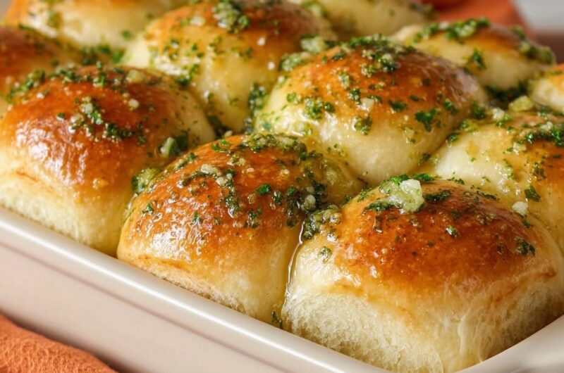 Dinner Rolls